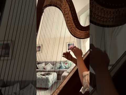 At Last I See The Light - Tangled