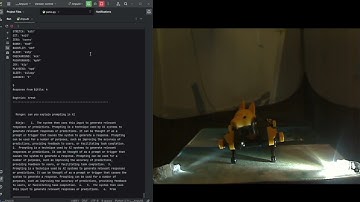 Ninja AI Tech Demo #2