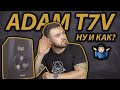 ADAM T7V или KRK Rokit? ОБЗОР | Лучшие бюджетные мониторы для домашней студии