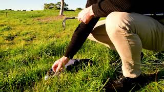 Golf Rules - Ball at rest against movable obstruction