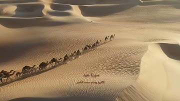سورة هود القارئ وسام محمد الناصر #القران_الكريم  #سورة  #تلاوة_خاشعة #راحة_نفسية #لايك #اكسبلور #