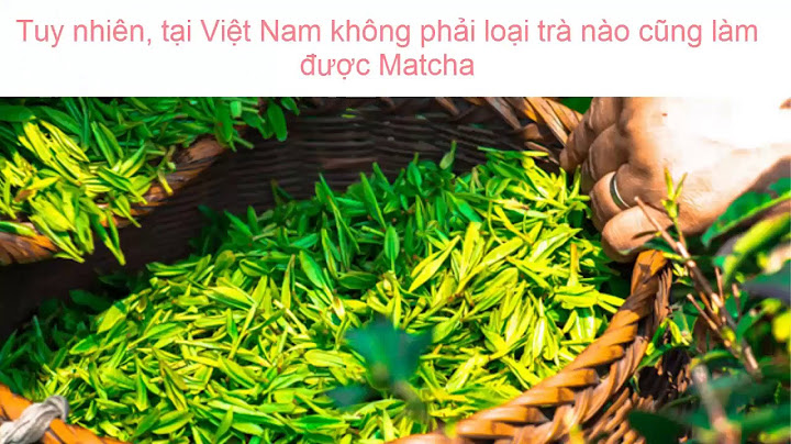 Matcha trà xanh birdy giá bao nhiêu năm 2024