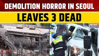 South Korea Bridge Collapse: Seoul Overpass Falls During Inspection, Casualties Reported