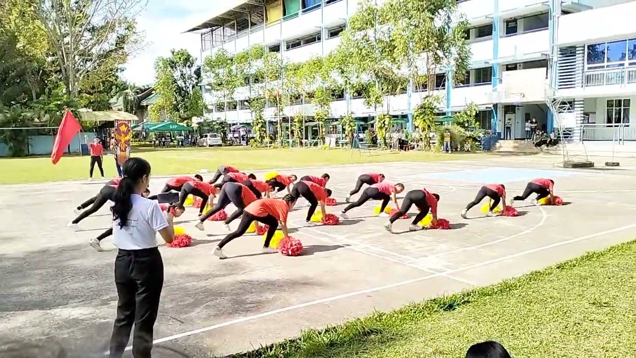 BLAZING PHOENIX 🫰