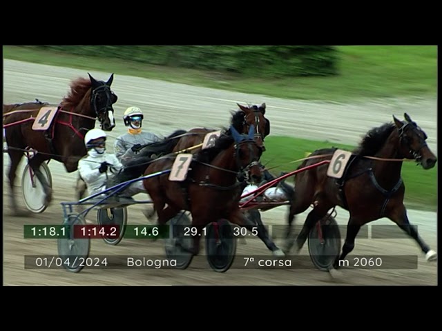 2024 04 01 | Corsa 7 | Metri 2060 | Premio Gran Premio Italia - Maschi