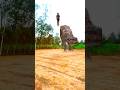 डायनासौर🦖Indian flag vfx😲~mini woodtoy woodwarki art skill/ wood/ hand crafts/#shorts​​#shortsfeed​​