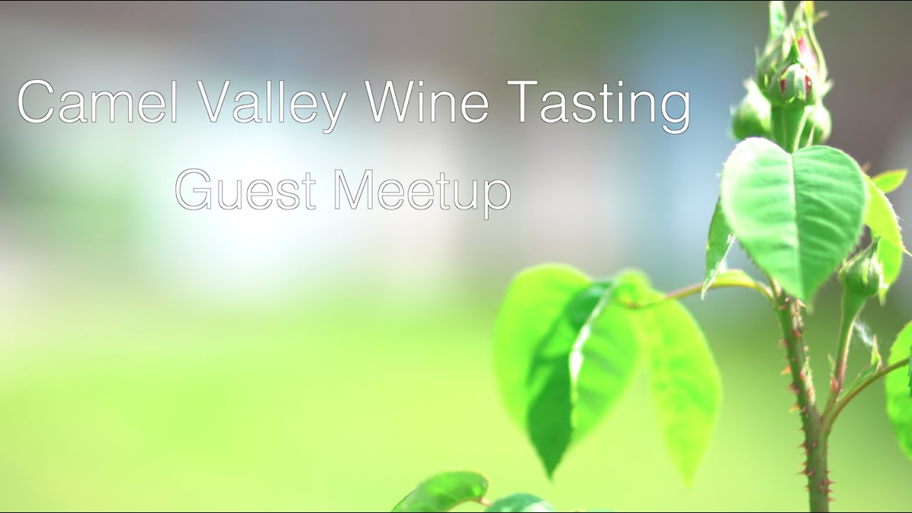 Camel Valley Vineyard Tour