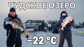 Мороз -22 C, но крупному окуню он не помеха. Чудское озеро. 12 км от берега.