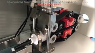 Fully Automatic Multi function Versatile Soft Tube Cutting Machine, Multi Type Soft Tube Cutter For