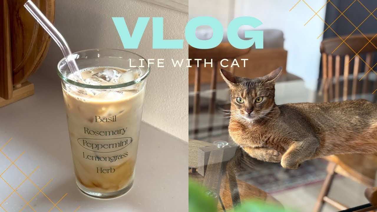 vlog┃忍たまウエハースと無印購入品を開封する30代オタクの日常｜京都と尼崎城を散歩する｜新しいキーボードとダイニングチェアが届いた