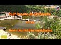 Multi bassins de Christophe  et les news des Jardins aquatiques