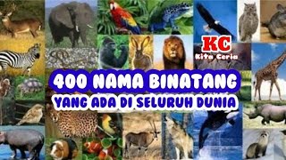 Nama-nama Binatang Dari Huruf A Sampai Z Lengkap ~ Channel Kita Ceria