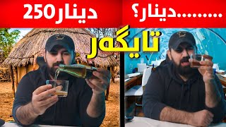 هەرزانترین تایگەر تاوەکوو گرانترین تایگەرم تاقی کردەوە!