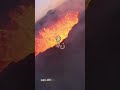 نزلها على الحالة