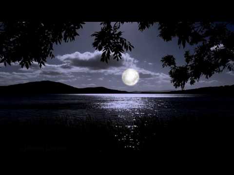 Cat and the moon &  Slide ảnh động đêm trăng trên biển cực đẹp