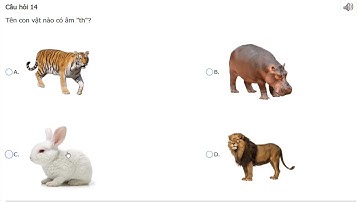 Trạng nguyên Tiếng Việt lớp 1 Vòng 5 năm 2025 - 2026