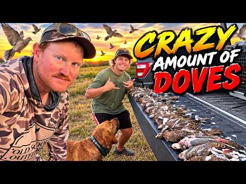 2 Man Dove Limit In Under 2 Boxes!!