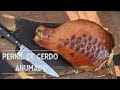 Pernil de Cerdo Colgado | A Los Siete Fuegos