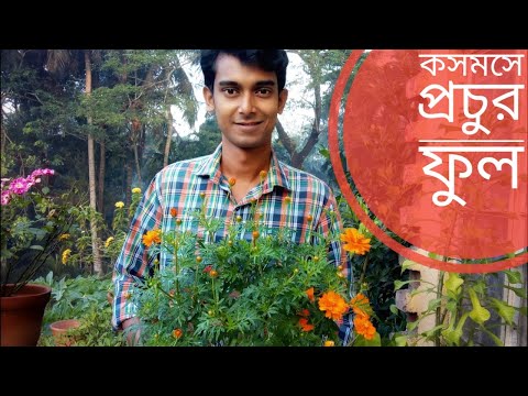 ভিডিও: ওয়ালবাই: প্রজাতির কয়েকটি বৈশিষ্ট্য