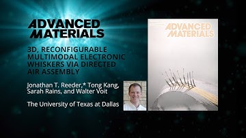 3D, Reconfigurable, Multimodal Electronic Whiskers via Directed Air Assembly