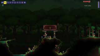 Terraria \