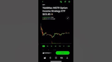 Monthly Income Update. No fluff. #yieldmax #monthlydividends #merchantmarine #MSTY #SCHD #robinhood