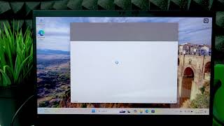 LENOVO ThinkPad X1 – How to Take a Screenshot