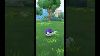 Pokémon GO 寶可夢社群日 伊布 背板 | Pokémon GO || 熱愛手作 Love handmade