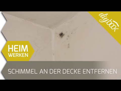 Schimmel entfernen - Oberflächenschimmel an der Decke beseitigen