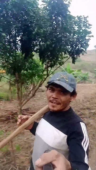aku sudah cape merantau pengen pulang bntu saskerep kawan ku #shorts
