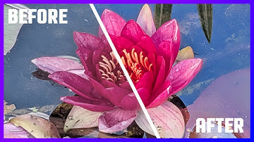 How to make colors POP in Paint.NET