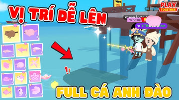 Toan Yolo Câu Tất Cả Cá Anh Đào Và Hải Ly Ở Khu Vực Bị Lãng Quên | Play Together