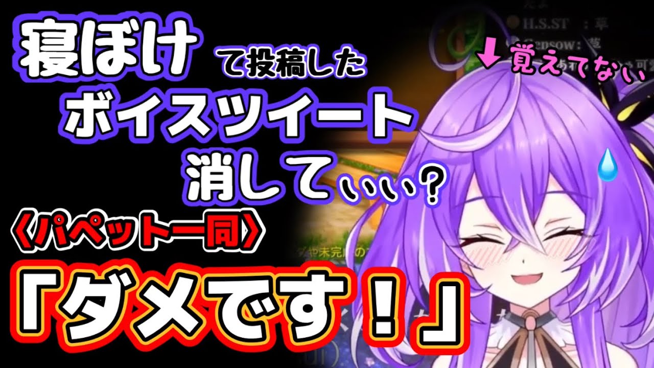 寝ぼけて可愛過ぎるボイスツイートをしてしまうキキ様【紫水キキ/ひよクロ】【切り抜き】