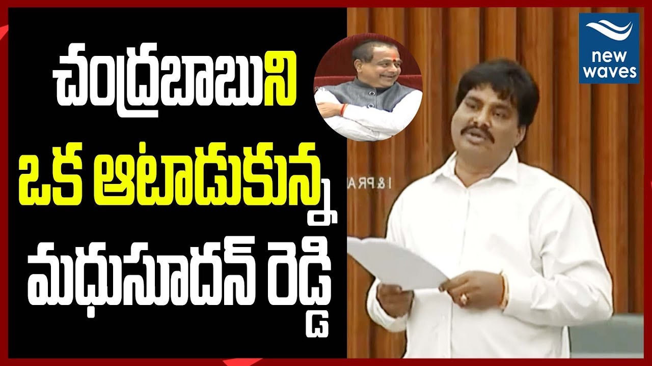 janasena election results Madhusudan Reddy Funny Comments On Chandrababu Naidu in AP Assembly | YS Jagan | New Waves