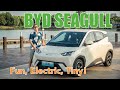 The byd seagull finally a fun to drive tiny ev