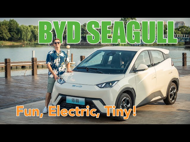 The BYD Seagull: Finally, A Fun To Drive Tiny EV! class=