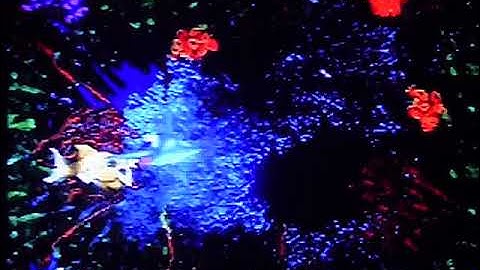 Floodlit Fish (Donkey Kong Country 3: Dixie Kong