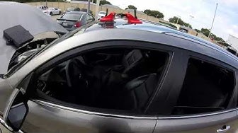 windshield darrow checkpoint