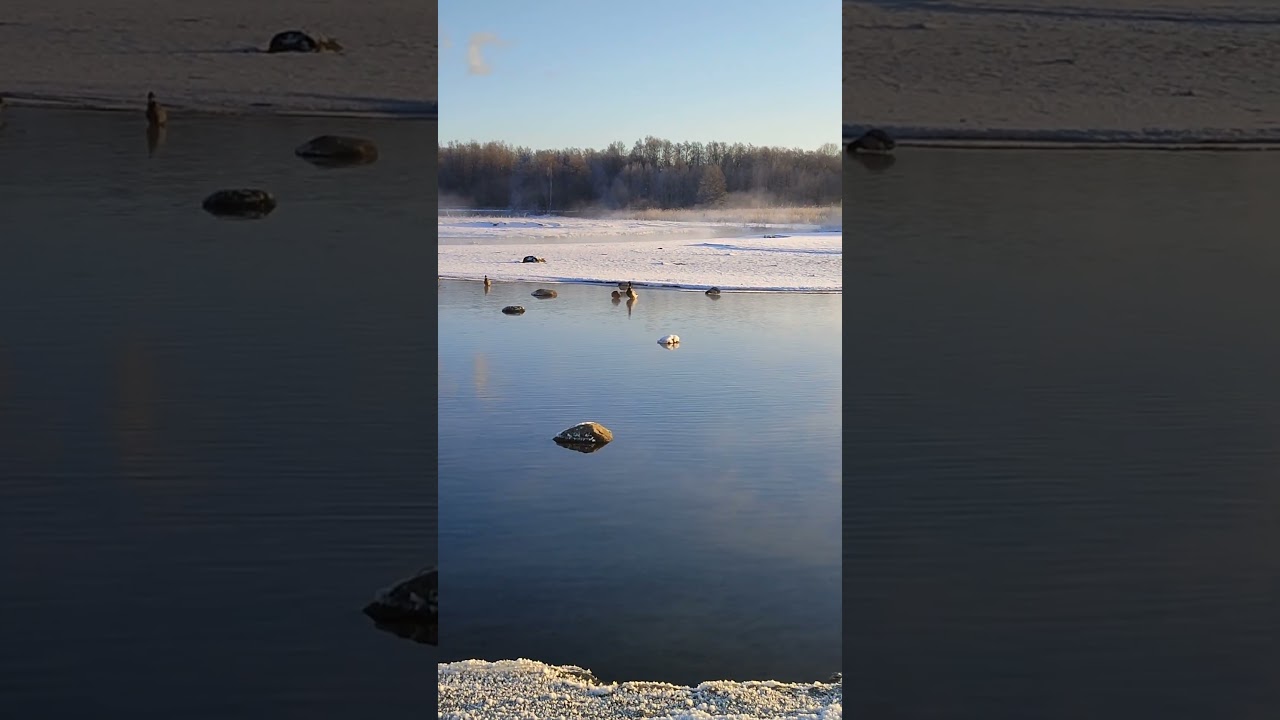 Unseen Beauty of Estonia 2026