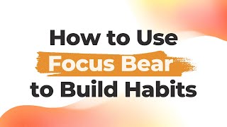 How routines work in Focus Bear