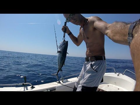 Tonnetto in altura – Pesca Spinning in mare dalla barca