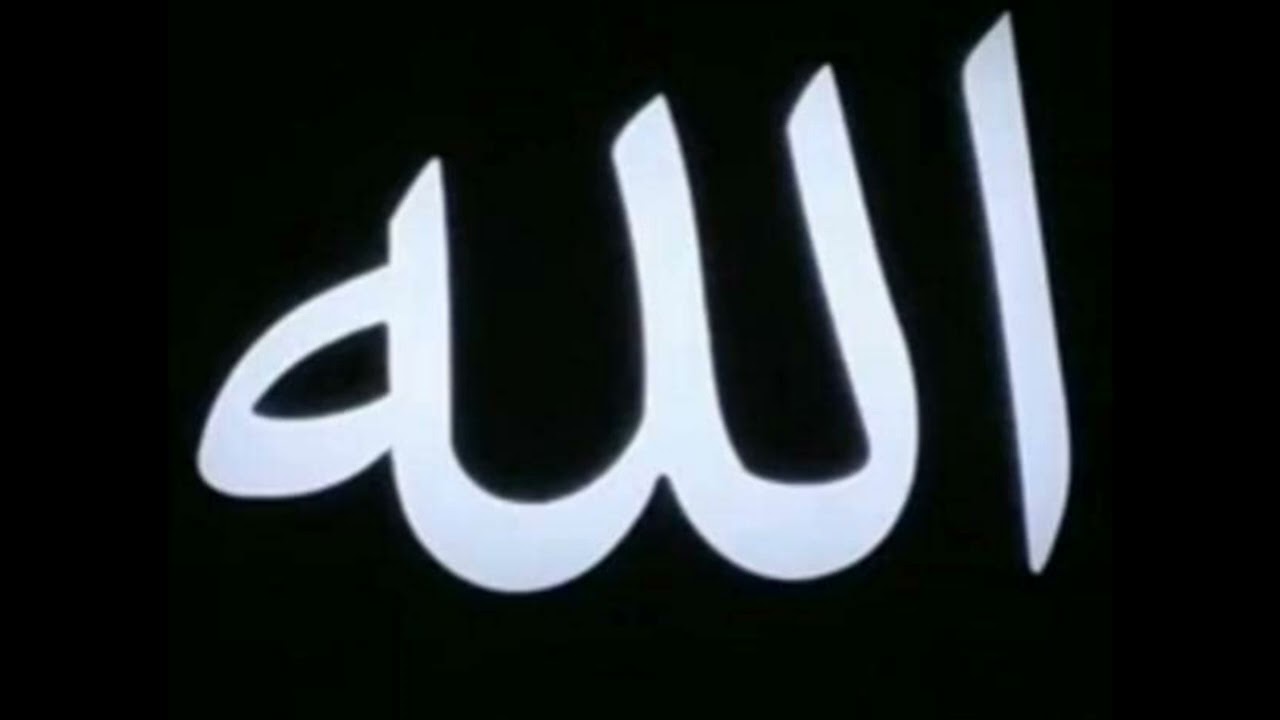 #مجالس_ذكر ( دع فؤادي تكويه نار جفائك )