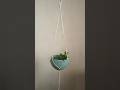 easy and new design macrame plant hanging #shrots #diy #craft #smallhanging #macramedecor #wall