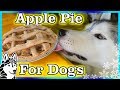 DIY APPLE PIE FOR DOGS | DIY Dog Treats | Snow Dogs Snacks 84