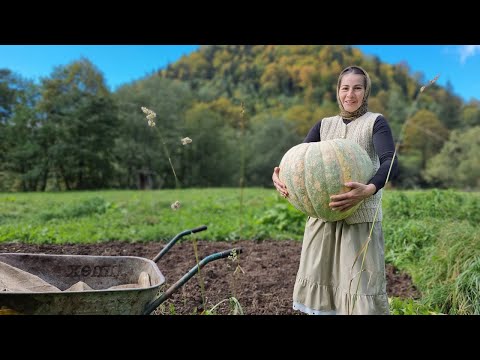 THE WOMAN LIVES ALONE IN THE MOUNTAINS. SHE Will Cook an Amazing Pumpkin Porridge