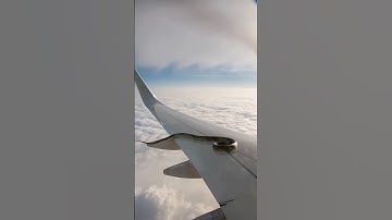 Snake on aeroplane in bad weather 😱 | Python on aeroplane | #snake #python #shorts