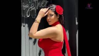 Salma Elshimy | Wiki Biography,age,weight,relationships,net worth -Curvy models plus size