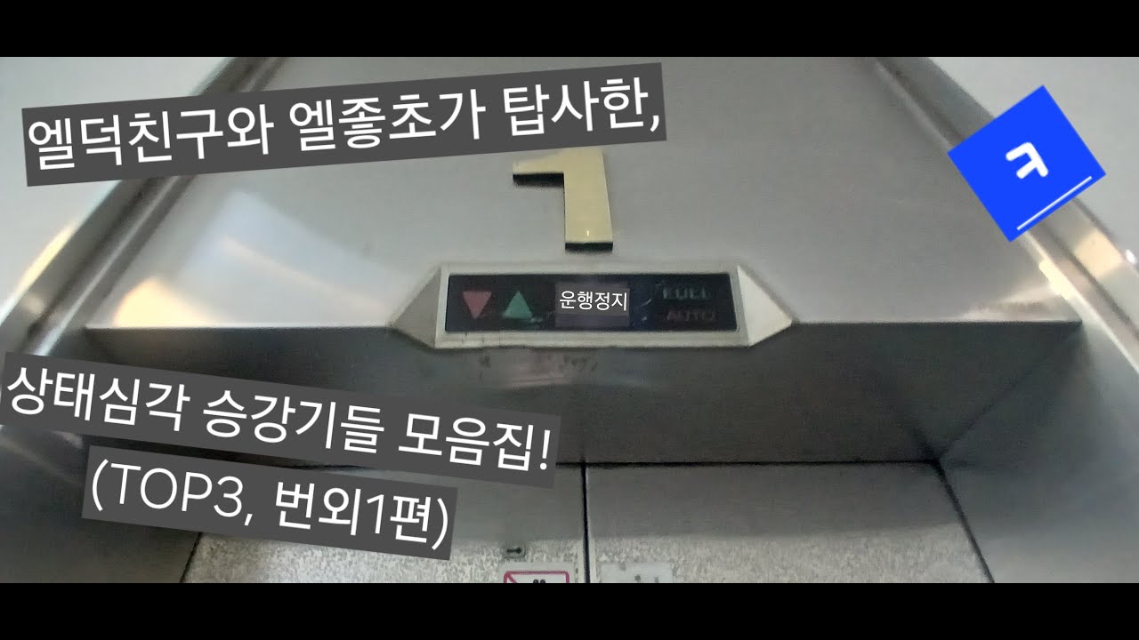  친구가 올리라한(???) 엘베 상태심각  번외편