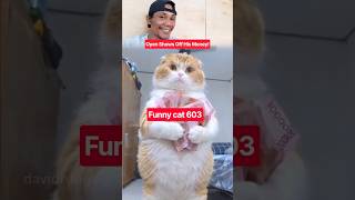 funny cat 🐱 603 #marsytchannel #youtubeshorts #shorts #trending #funny #cat #cute #cats #cutecat