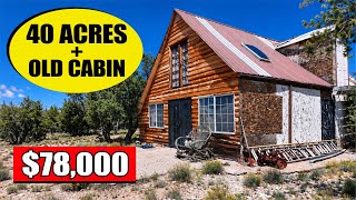 40 Acres   Old Cabin in Arizona for Just $78K?!